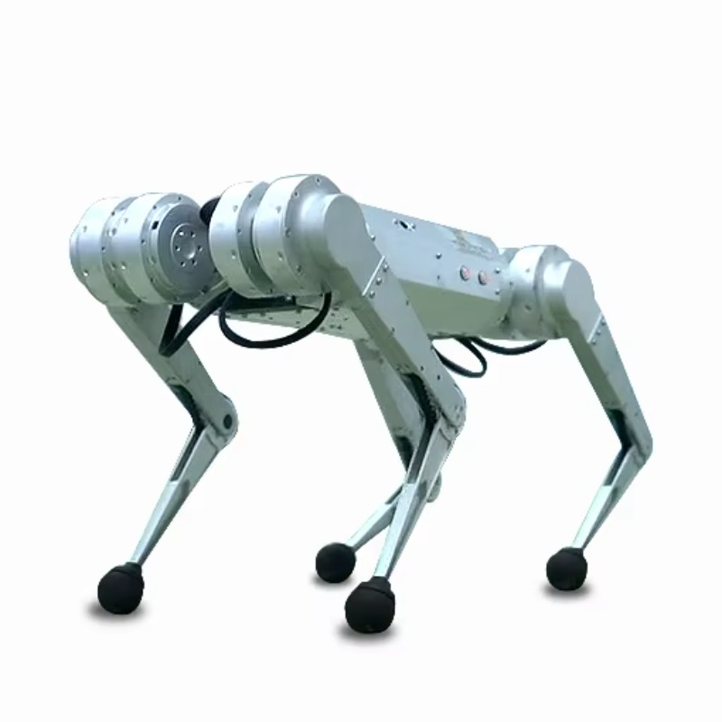 Robot Anjing Cerdas dengan Ran - Robot Chassis ulasan dan harga