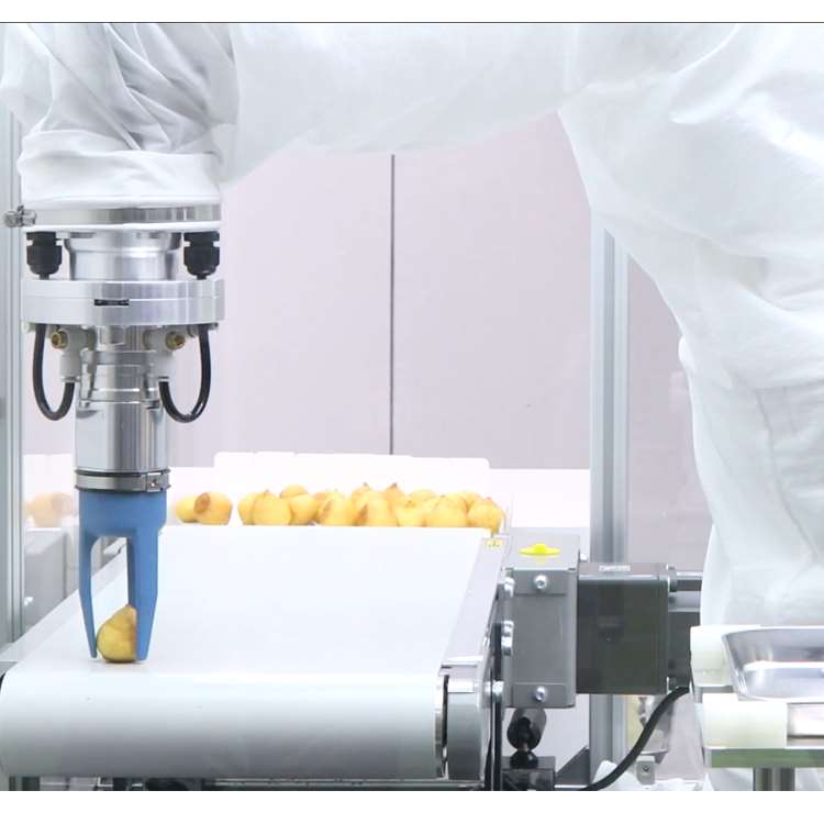 Lengan Robot CNC 6-Axis dengan - Robot Gripper ulasan dan harga